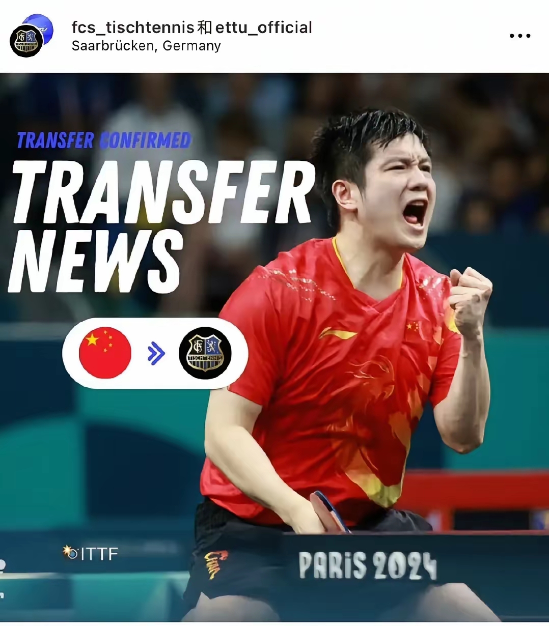 法国乒乓球队轻取波兰乒乓球队，樊振东送出助攻的简单介绍