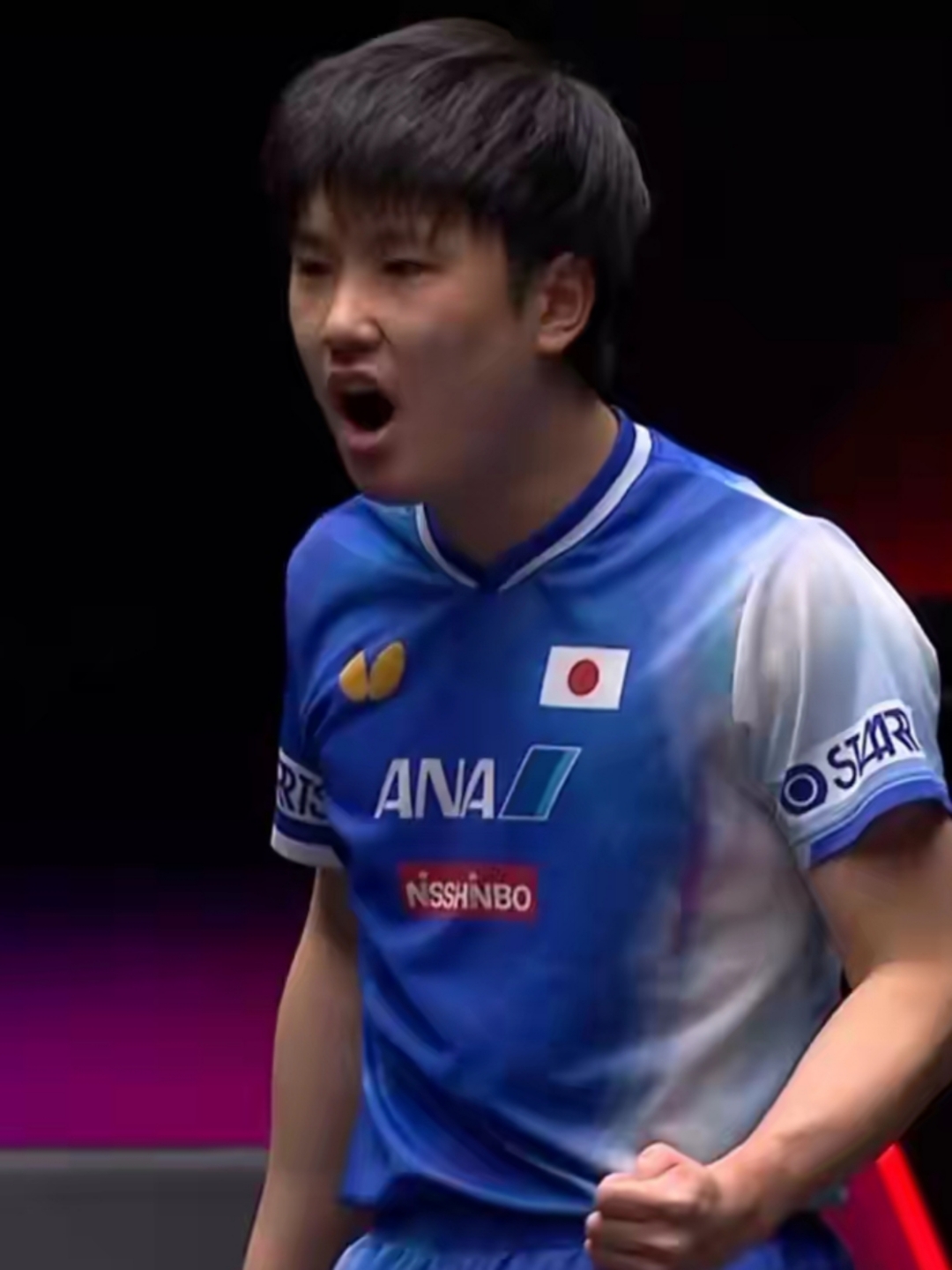 包含比利时乒乓球队鏖战波兰乒乓球队,张本智和绝境逆转的词条 包含比利时乒乓球队鏖战波兰乒乓球队,张本智和绝境逆转的词条